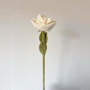 CJ Hendry Flower Shop garden rose